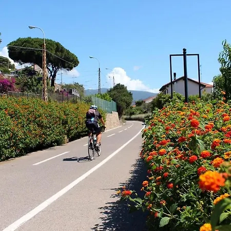 Almarea, A House Between The Sea And Olive Trees *