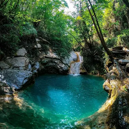 Apartman Almarea, A House Between The Sea And Olive Trees *