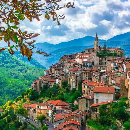 Almarea, A House Between The Sea And Olive Trees Apartman *