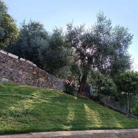 Almarea, A House Between The Sea And Olive Trees