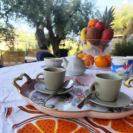 Almarea, A House Between The Sea And Olive Trees * Imperia