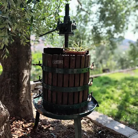 Apartman Almarea, A House Between The Sea And Olive Trees Imperia