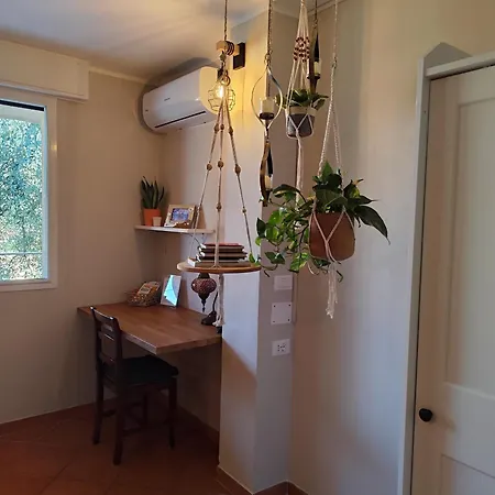 Almarea, A House Between The Sea And Olive Trees Apartman *