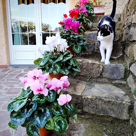 Apartman Almarea, A House Between The Sea And Olive Trees *