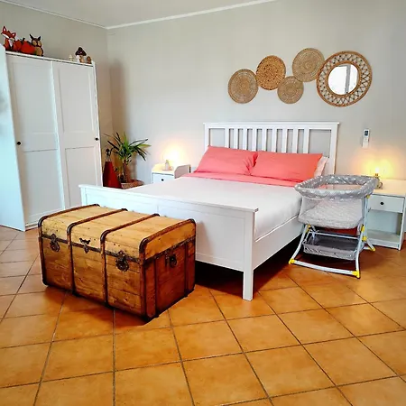 Almarea, A House Between The Sea And Olive Trees *