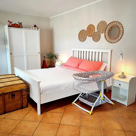 Almarea, A House Between The Sea And Olive Trees *