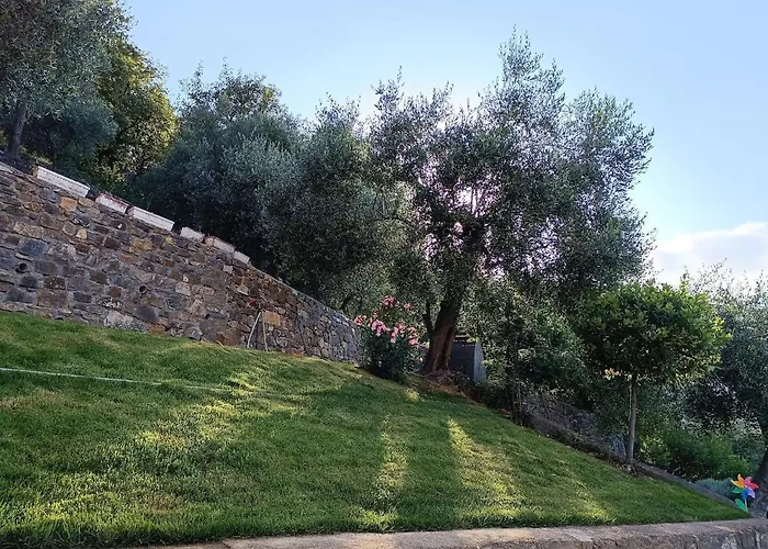 Almarea, A House Between The Sea And Olive Trees