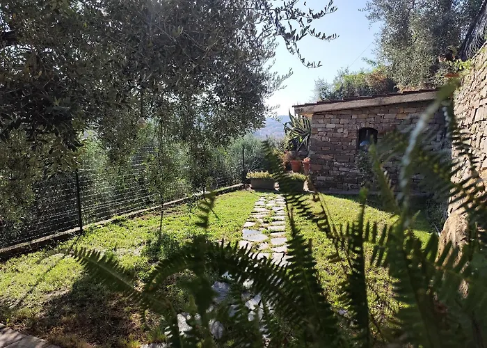 Almarea, A House Between The Sea And Olive Trees *