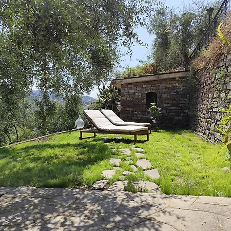 아파트 Almarea, A House Between The Sea And Olive Trees *