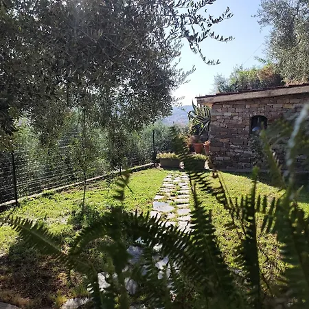 Almarea, A House Between The Sea And Olive Trees *