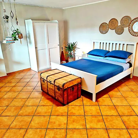 Almarea, A House Between The Sea And Olive Trees *