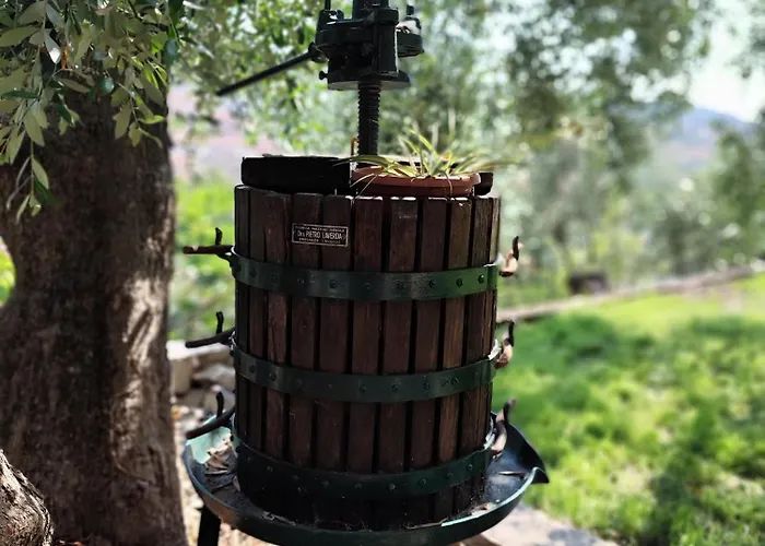 Lejlighed Almarea, A House Between The Sea And Olive Trees Imperia